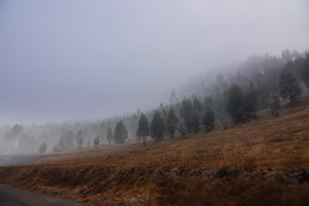 Beautiful, Countryside, Early morning, Fog, Landscape, Landscapes, Mist, Misty, Nature, Outdoors, Photography, Scenery, Scenic, Travel, Trees, Weather
